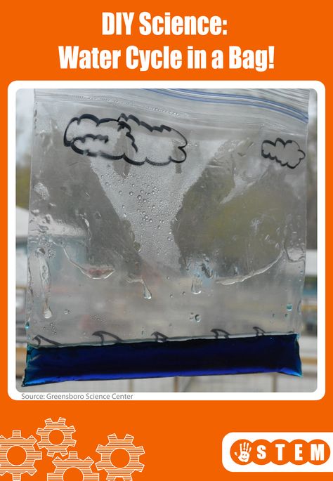 Science Water Cycle, Water Cycle In A Bag, Water Cycle Experiment, The Water Cycle, Colored Water, Snow Activities, Sandwich Bag, Kid Experiments, Earth And Space Science