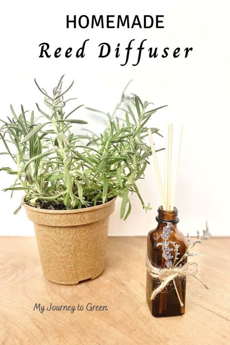 Diy Reed Diffuser, Diy Oil Diffuser, Diy Diffuser, Homemade Reed Diffuser, Diy Essential Oil Diffuser, Natural Pregnancy, Diy Oils, Homemade Cleaning Products, Reed Diffusers