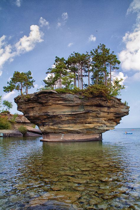 Turnip Rock - Port Austin, Michigan by J.M. Barclay on  Flickr - Photo Sharing! Port Austin Michigan, Port Austin, Weird Trees, Michigan Adventures, Never Understand, Michigan Travel, Lake Pictures, Unique Trees, Pure Michigan