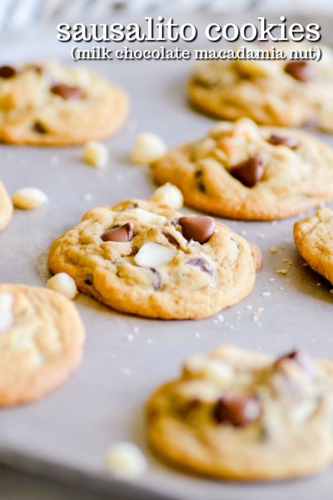 If you love Pepperidge Farm Sausalito cookies, you are going to love this copycat recipe! Cookies that have crispy edges and chewy middles filled with creamy milk chocolate and macadamia nuts. Pepperidge Farm Cookies, Starbucks Pumpkin Bread, Macadamia Cookies, Farm Cookies, Recipe Cookies, Macadamia Nut Cookies, Canned Frosting, Easy Christmas Treats, Chocolate Macadamia