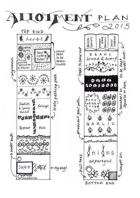 Allotment Ideas Budget, Allotment Layout, Allotment Design, Allotment Plan, Allotment Ideas, Veg Patch, Allotment Gardening, Layout Plan, Vegetable Garden Planning