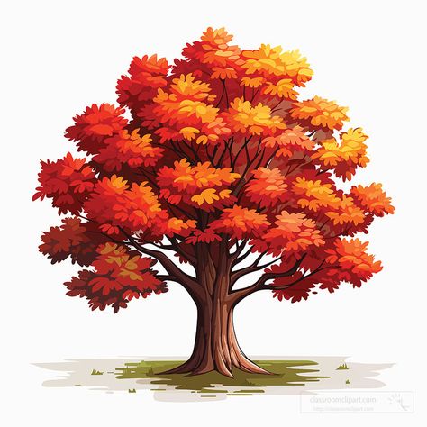 maple tree with bright orange red leaves clip art Leaves Drawing Fall, Fall Tree Illustration, Maple Tree Drawing, Orange Tree Art, Leaves Clip Art, Tree Clip Art, Fall Stickers, Cartoon Trees, Maple Trees