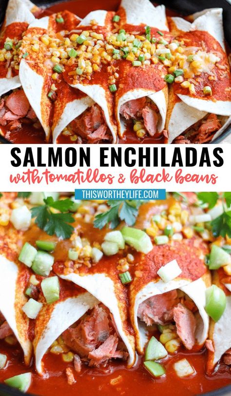 Our Salmon Enchiladas with Tomatillos & Black Beans is a great dinner night meal idea. Or, serve for the holidays or a game day party. Either way, this savory and delicious recipe made with salmon will be a winner at the party or dinner table. Skip the chicken and use Salmon instead!! #dinnerrecipes #dinner #salmonrecipes #enchiladarecipe #withblackbeans Salmon Enchiladas Recipe, Salmon Enchiladas, Easy Chicken Casserole Recipes, Family Dinner Night, Game Day Party, Random Recipes, Best Casseroles, Dinner Night, Enchilada Recipes