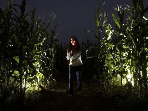 Dnd Zombie, Zombie Au, Corn Fields, Excited For Fall, Jonathan Crane, Corn Field, The Scarecrow, Texas Chainsaw, Horror Book