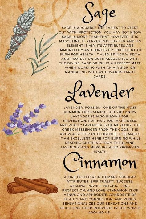 Witchy Herbs To Grow, How To Use Herbs For Medicine, Burnable Herbs, How To Use Herbs, Magical Herbs And Their Uses, Witch Herbs And Their Uses, Herbs Uses, Herbs For Witchcraft, Herb Meanings