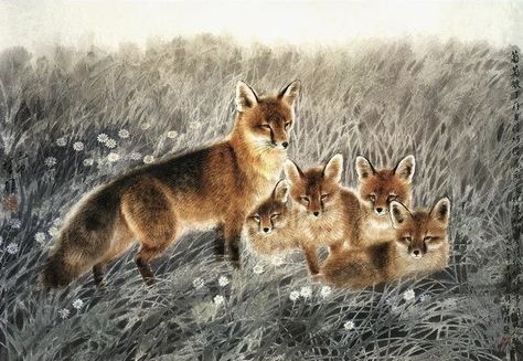 Fang Chuxiong Fang Chuxiong, Chinese Artwork, Sweet Pictures, Chinese Paintings, Sweet Pic, Fox Art, Wild Dogs, Like Animals, Mystical Creatures