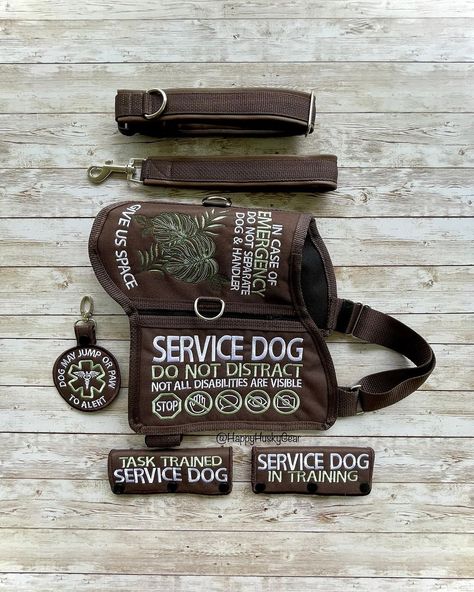 All Posts • Instagram Themed Service Dog Gear, How To Make A Service Dog Vest, Assistance Dog Gear, Diy Service Dog Gear, Service Dog Vest Pattern, Service Dog Vest Ideas, Service Dog Gear For School, Cute Service Dog Vest, Sage Green Vest