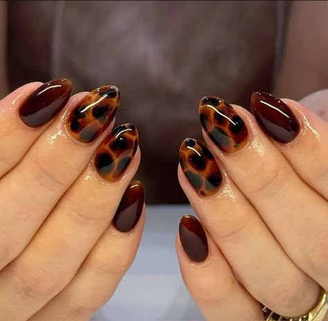 Gel X Thanksgiving Nails, Short Nails Tortoise, Short Almond Nails Tortoise, Cheetah Nails Almond Shape, Tortoiseshell Nails Square, Short Nail Designs Animal Print, Tortas Shell Nails, Brown Line Nails, Thanksgiving Nail Inspo Short