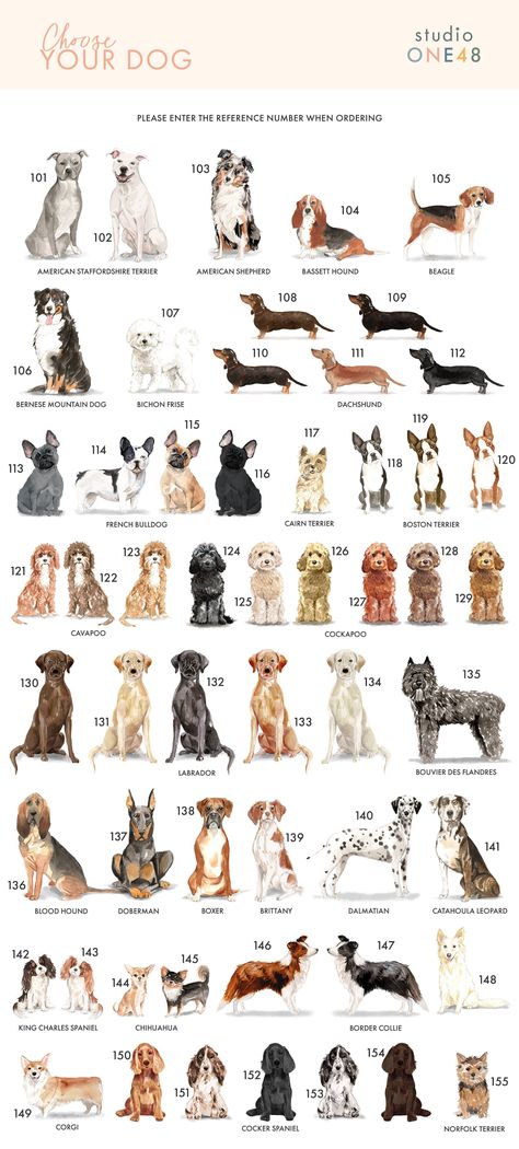 Dog Pet Portrait Print in 2024 | Dog breeds, Pet dogs, Unique dog breeds #Cute_Dogs_To_Draw #Cat_Veterinary #Perro_Cocker_Spaniel #Dog_Cartoons Dog Lover Cake, Dog Portraits Illustration, Dog Breed Art, Unique Dog Breeds, Spaniel Breeds, Sausage Dogs, No Thanks, Different Dogs, Types Of Dogs