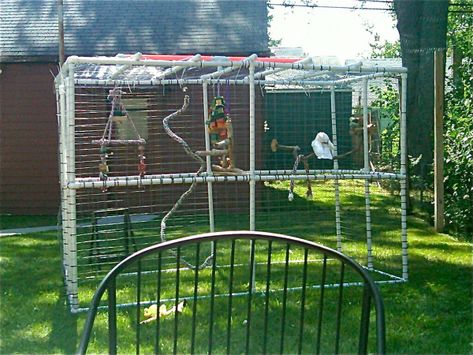 Pvc Aviary, Diy Bird Cage, Bird Diy, Diy Bird Toys, Parrot Stand, Parrot Pet, Bird House Kits, Bird Aviary, Parrot Cage