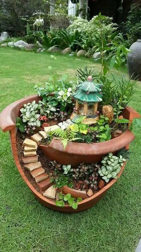 DIY Fairy Garden From Flower Pot #fairygarden #diy #decorhomeideas Check this: 👉👉http://gardening.hostio.me/homeI'm Alvin, a gardening enthusiast whose world revolves around lush greens and blossoming colors. From dawn till dusk, you'll find them nurturing each plant with unwavering affection. With a keen understanding of soil and seasons, Alvin garden thrives, a testament to their boundless passion and dedication Fairy Garden Design Ideas, Broken Pot Garden, Fairy Garden Pots, Indoor Fairy Gardens, Lots Of Plants, Fairy Garden Plants, نباتات منزلية, Mosquito Repelling Plants, Fairy Garden Designs