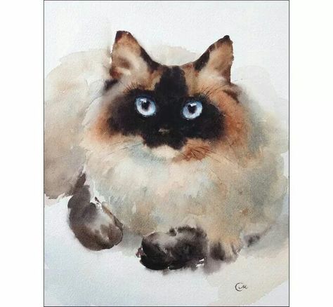 Add this Cat Siamese, Cat Artwork, Cat Art Print, Watercolor Cat, Watercolor Art Lessons, Ragdoll Cat, Cat Portraits, Cat Painting, Watercolor Animals