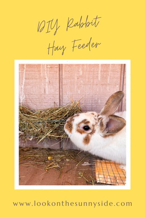 Hay Feeder For Rabbits, Diy Hay Feeder, Rabbit Hay Feeder, Rabbit Hay, Hay Feeder, Backyard Farming, Hutch, Fencing, Look On