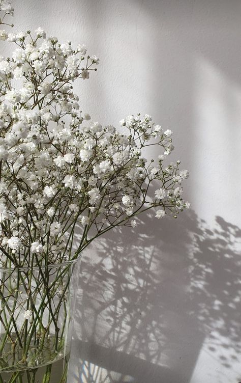 White Filler Photo Instagram, Gypsophila Aesthetic, Gypsophila Wallpaper, Canva Course, Gypsophila Flower, Social Media Marketing Planner, Bundle Business, Marketing Planner, Start Your Own Business