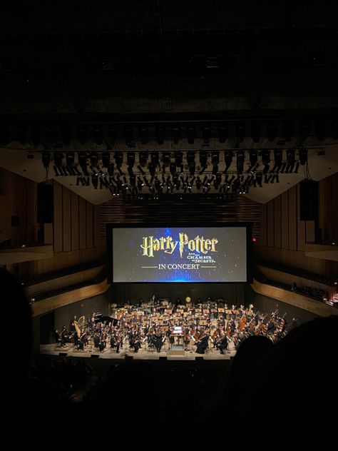 New york city nyc orchestra harry potter in concert Harry Potter Orchestra, Harry Potter Broadway, Harry Potter Theatre, Orchestra Concert, Harry Potter London, Orchestra Concerts, 2024 Goals, At Home Date, Sixteenth Birthday