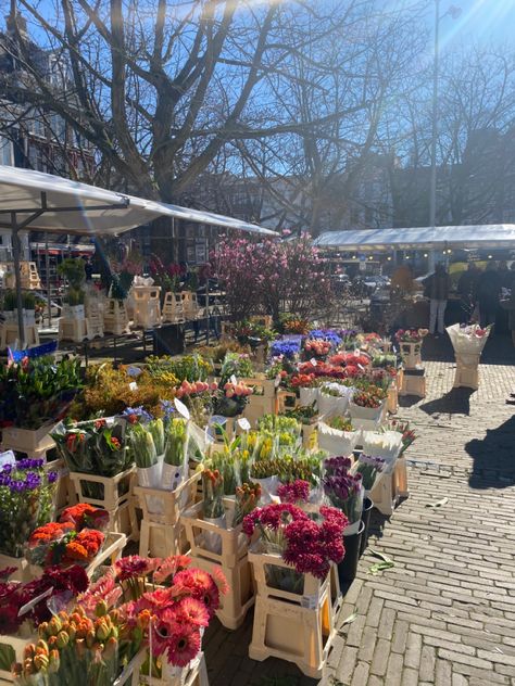 Flower market in sunny Amsterdam Amsterdam In March, Teleportation Machine, Amsterdam March, Amsterdam Market, Amsterdam Flower Market, Amsterdam Trip, Amsterdam Photography, Weekend Market, Spring Market