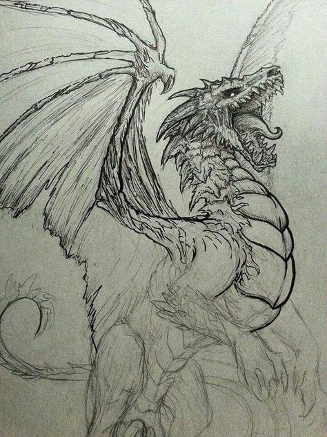 Cool Dragon Drawings, Easy Dragon Drawings, Dragon Sketch, Cool Dragons, 다크 판타지, Creature Drawings, Dragon Pictures, Fantasy Creatures Art, Dragon Artwork