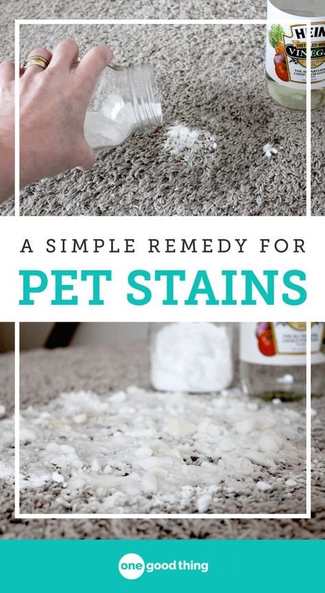 Remove Pet Stains, Deep Cleaning Hacks, Urine Smells, Cleaning Painted Walls, Astuces Diy, Glass Cooktop, Deep Cleaning Tips, Pet Stains, Up House