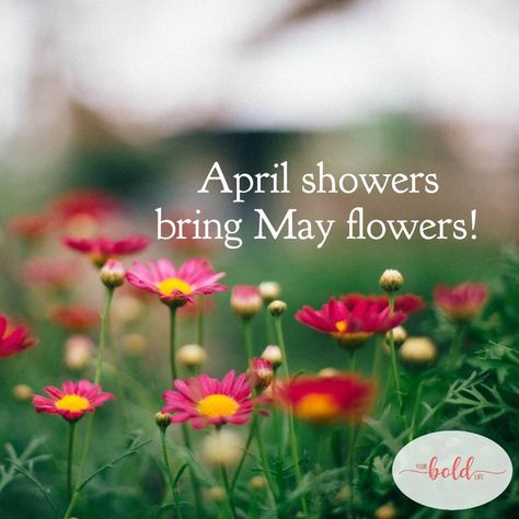 April Showers Bring May Flowers … April is known as a rainy month. What is your favorite thing to do on a rainy day? April Showers Bring May Flowers, An Affair To Remember, Magnolia Design, Cat Whiskers, On A Rainy Day, What Is Your Favorite, April Showers, May Flowers, A Rainy Day