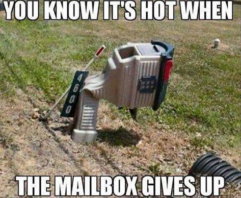 You know its hot when the mailbox gives up. Florida Funny, Hot Weather Humor, Funny Weather, Hot Outside, Summer Funny, Clean Memes, Image Memes, The Mailbox, Summer Quotes