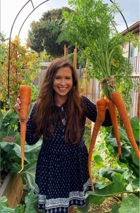 Urban Veggie Patch Carrot Seedlings, Grated Carrot Salad, Carrot Varieties, Giant Vegetable, Sustainable Homestead, Red Carrot, Growing Carrots, Japanese New Year, Daucus Carota