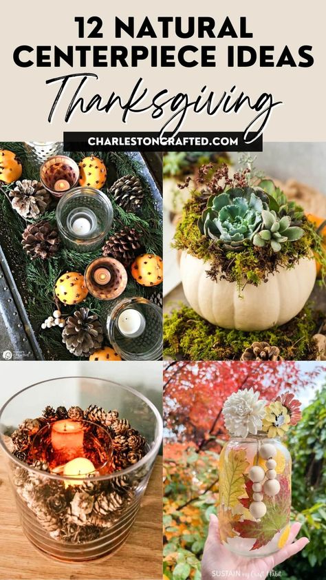 natural Thanksgiving centerpiece ideas Thanksgiving Center Piece Ideas, Easy Thanksgiving Centerpieces, Mod Podge Glass, Thanksgiving Centerpiece Ideas, Diy Thanksgiving Centerpieces, Thanksgiving Setting, Thanksgiving Centerpieces Diy, Succulent Pumpkin, Fall Table Centerpieces