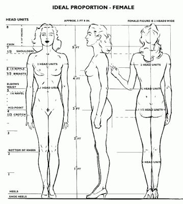 Figure Drawing Female, Male Figure Drawing, Academic Drawing, Drawing Female Body, How To Draw Steps, Human Anatomy Drawing, Human Figure Drawing, Body Proportions, Female Anatomy