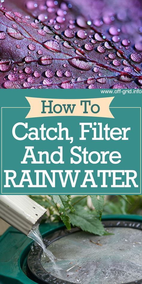 Storing Rain Water, Filtering Rain Water, Natural Water Filter System, Cistern Water System, Catching Rain Water, Homestead Management, Gardening Fruits, Rainwater System, Homesteading Life