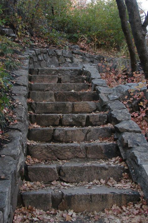 Stairs Stone, Level Backyard, House Backyard Ideas, Stairs Ideas, Stone Steps, Garden Stairs, Exterior Stairs, Stone Stairs, Concrete Stairs