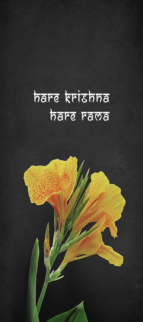 Hare Rama Hare Rama Rama Rama Hare Hare, Hare Krishna Hare Krishna Krishna Hare Hare Hare Krishna Tattoo, Hare Krishna Hare Krishna, Krishna Tattoo, Krishna Krishna, Morning Beautiful, Hare Krishna, Good Morning Beautiful, Mantra, Krishna