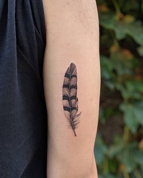 Quail Feather Tattoo, Owl And Feather Tattoo, Abstract Feather Tattoo, Turkey Feather Tattoo For Women, Falcon Feather Tattoo, Feather Tattoo On Arm, Western Feather Tattoo, Duck Feather Tattoo, Pheasant Feather Tattoo