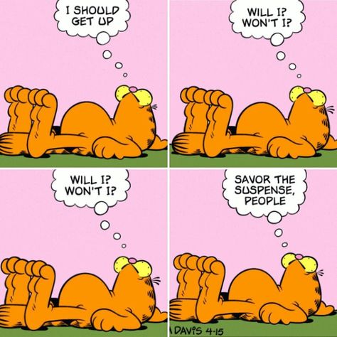 The other key thing to remember with the Garfield comics is that a lot of them use the same art across the panels and just change the text. Garfield Quotes, Garfield Comic, Garfield Images, Orange Kitty, Garfield The Cat, Garfield Christmas, Garfield Cartoon, Comic Frame, Garfield Cat