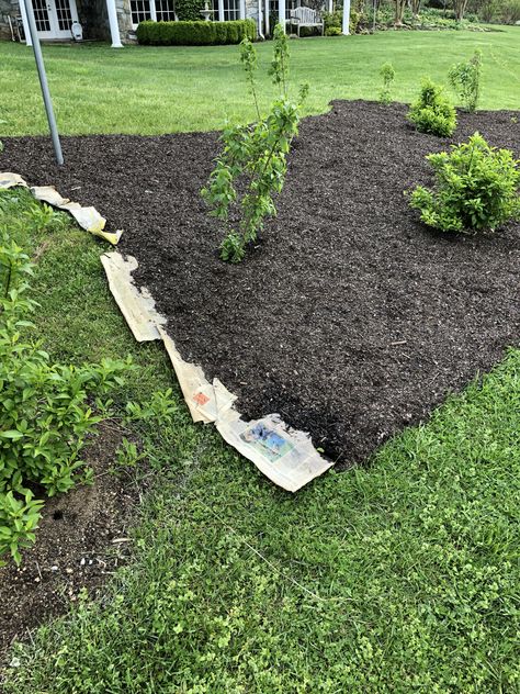 Mulch Replacement Ideas, Stone And Mulch Landscaping Ideas, Separating Mulch And Rock, How To Lay Mulch Down, Best Mulch For Flower Beds, Laying Mulch Tips, Best Mulch For Vegetable Garden, Mulch Landscaping, Garden Site