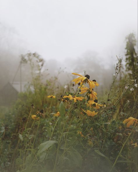 Lily Garden, Deep Forest, Floral Photography, Garden Photos, Community Gardening, Autumn Aesthetic, Farm Gardens, Autumn Garden, Aesthetic Photography