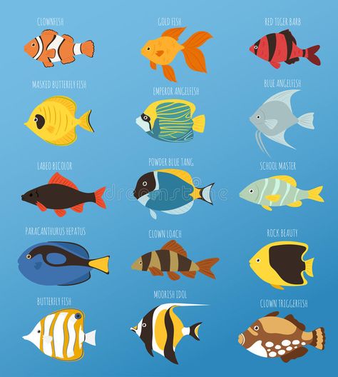 Exotic tropical fish race different breed colors underwater ocean species aquatic strain nature flat vector illustration royalty free illustration Ocean Books, Ocean Illustration, Underwater Ocean, Sea Illustration, Underwater Fish, Fish Vector, Fish Illustration, Flat Vector Illustration, Underwater Creatures