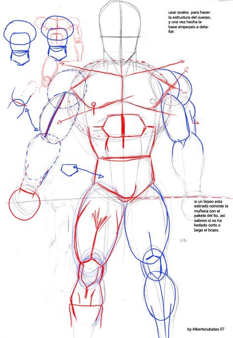 Anatomia de Dragon Ball by albertocubatas on DeviantArt Dragon Ball Drawing Reference, How To Draw Dragon Ball, Dragon Ball Art Style, Dragon Ball Drawing, Dbz Drawings, Goku Drawing, Ball Drawing, Body Drawing Tutorial, Human Anatomy Drawing