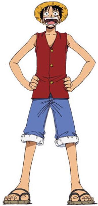 Luffy Outfits, Straw Hat Luffy, Luffy Cosplay, Heroes Wiki, Universe Images, Arch Enemy, The Pirate King, White Beard, Sherlock Funny