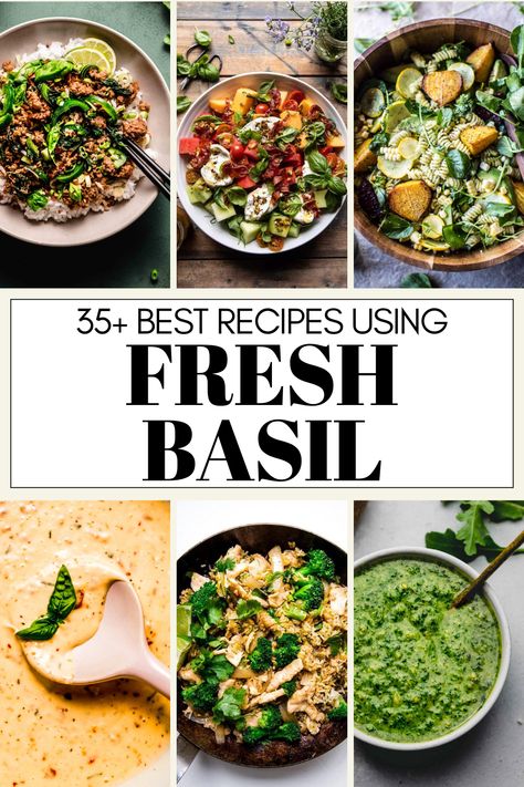 Basil, the ultimate herb of summer, is the star in this collection of 35+ recipes, with a dish for every occasion and mood! Peruvian Chicken With Green Sauce, Chardonnay Food Pairing, Chicken With Green Sauce, Lush Desserts, Fresh Basil Recipes, Peruvian Chicken, Basil Recipes, Rose Recipes, Green Sauce