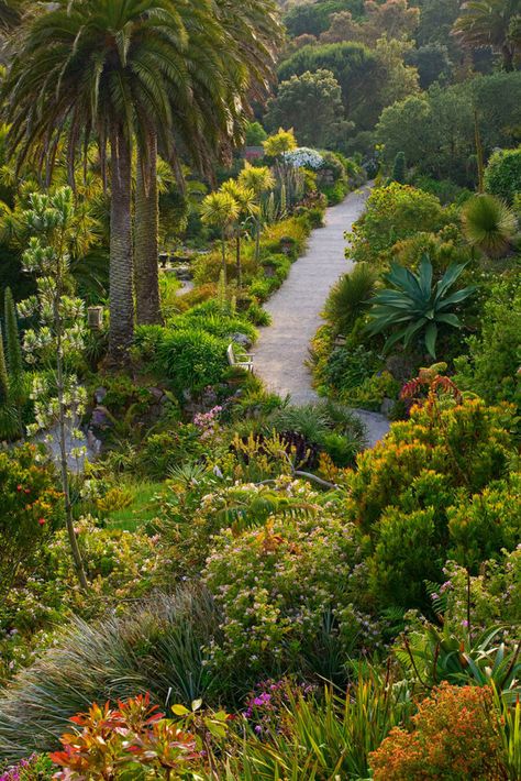 Tresco Abbey Gardens, Devon And Cornwall, Cornwall England, Isles Of Scilly, Garden Photography, Garden Landscape Design, Kew Gardens, Garden Pool, The Isle