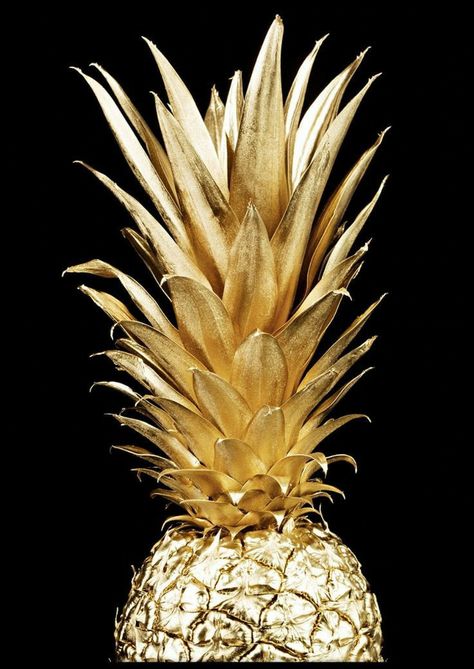 Gold Pineapple Wallpaper, Picture Frame Inspiration, Gavin Memes, Golden Pineapple, Pineapple Wallpaper, Swarovski Crystal Figurines, Gold Pineapple, Wallpaper Tumblr, Gold Aesthetic