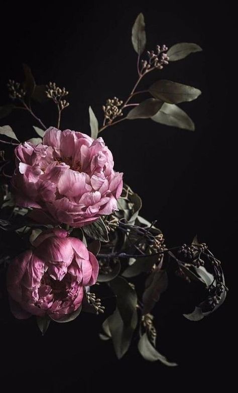 Flower Painting Aesthetic, Painting Aesthetic Wallpaper, Peony Wallpaper, Flowers Background, Painting Aesthetic, Dark Flowers, Floral Photography, Flower Phone Wallpaper, Dark Floral