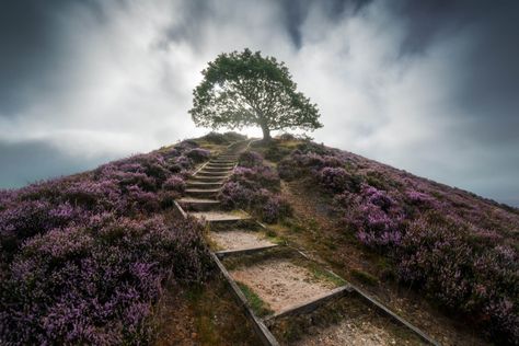 Why Denmark Is the Fantastic Landscape Photography Country You Will Never Visit | Fstoppers Country Landscape Photography, Wide Angle Photography, Angle Photography, Visit Denmark, Landscape Photography Nature, Country Landscaping, Photography Landscape, Unique Photo, Landscape Photographers