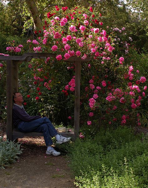 #botanicalgarden #descansogardens Descanso Gardens, Los Angeles, CA Descanso Gardens Photoshoot, Gardens Photoshoot, Descanso Gardens, Beautiful Places On Earth, Botanical Gardens, Digital Image, Photo Shoot, Beautiful Places, Angeles