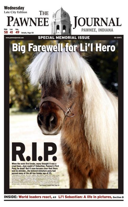 "bye bye lil sebastian, you're 10000 candles in the wind....."love p&r Parcs And Rec, Parks And Recs, Lil Sebastian, Andy Dwyer, Parks And Rec, Leslie Knope, Candle In The Wind, Here's The Thing, Parks N Rec