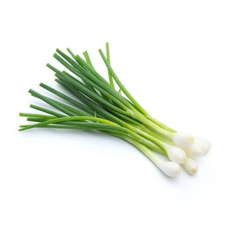 Onion Pictures, Vegetables Names With Pictures, Bulb Photography, Narrative Illustration, Texture Study, Onion Bulbs, Spring Onions, The Onion, Green Onion