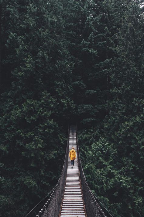 . Suspension Bridge Vancouver, Lynn Canyon Suspension Bridge, Pnw Aesthetic, Lynn Canyon, Nomad Lifestyle, Island Life Style, Anniversary Trips, Adventure Photography, Suspension Bridge