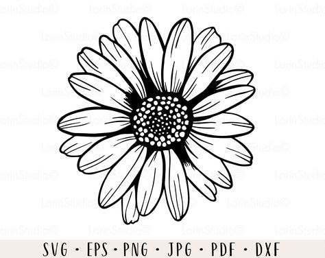 Daisy Flower Drawing, Outline Flower, Flower Tattoo Stencils, Daisy Svg, Daisy Tattoo, Tree Stencil, Flower Outline, Png Floral, Desenho Tattoo