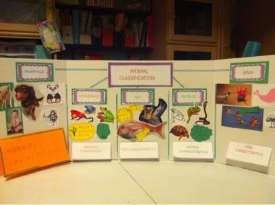 Animal Classification Lapbook Classifying Animals, Lap Book Templates, Elementary Stem Activities, Animal Report, Stem Elementary, Animal Classification, Teaching Second Grade, Primary Science, Hermit Crabs