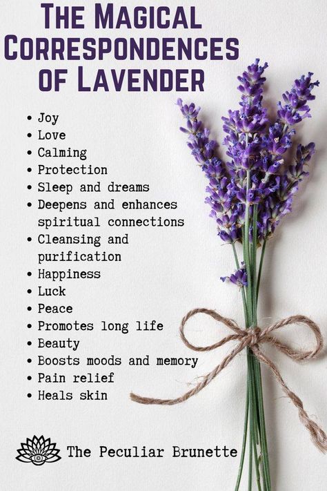 Lavender Properties Magic, Dried Lavender Uses Witch, Magic Properties Of Lavender, Lavender Magical Uses, Lavender Properties Witchcraft, Lavender Healing Properties, Herb Magical Properties List, Lavender Correspondences, Bergamot Magical Properties