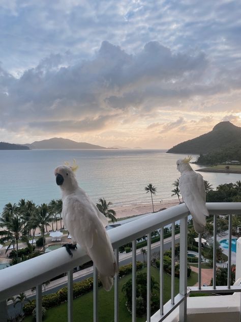 Hamilton Island Australia, Caribbean Summer, Hamilton Island, Travel Log, Island Holiday, Island Vibes, Dream Holiday, Dream Lifestyle, Travel Goals